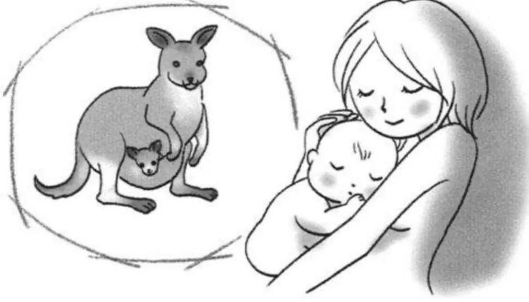 您知道“袋鼠式護(hù)理”嗎？