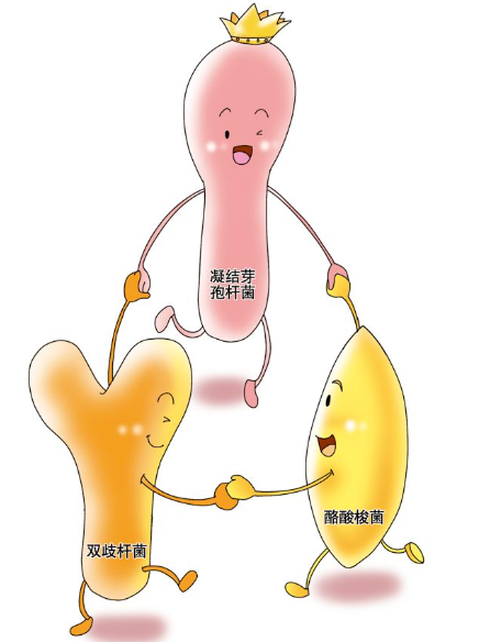 如何給寶寶選擇益生菌？